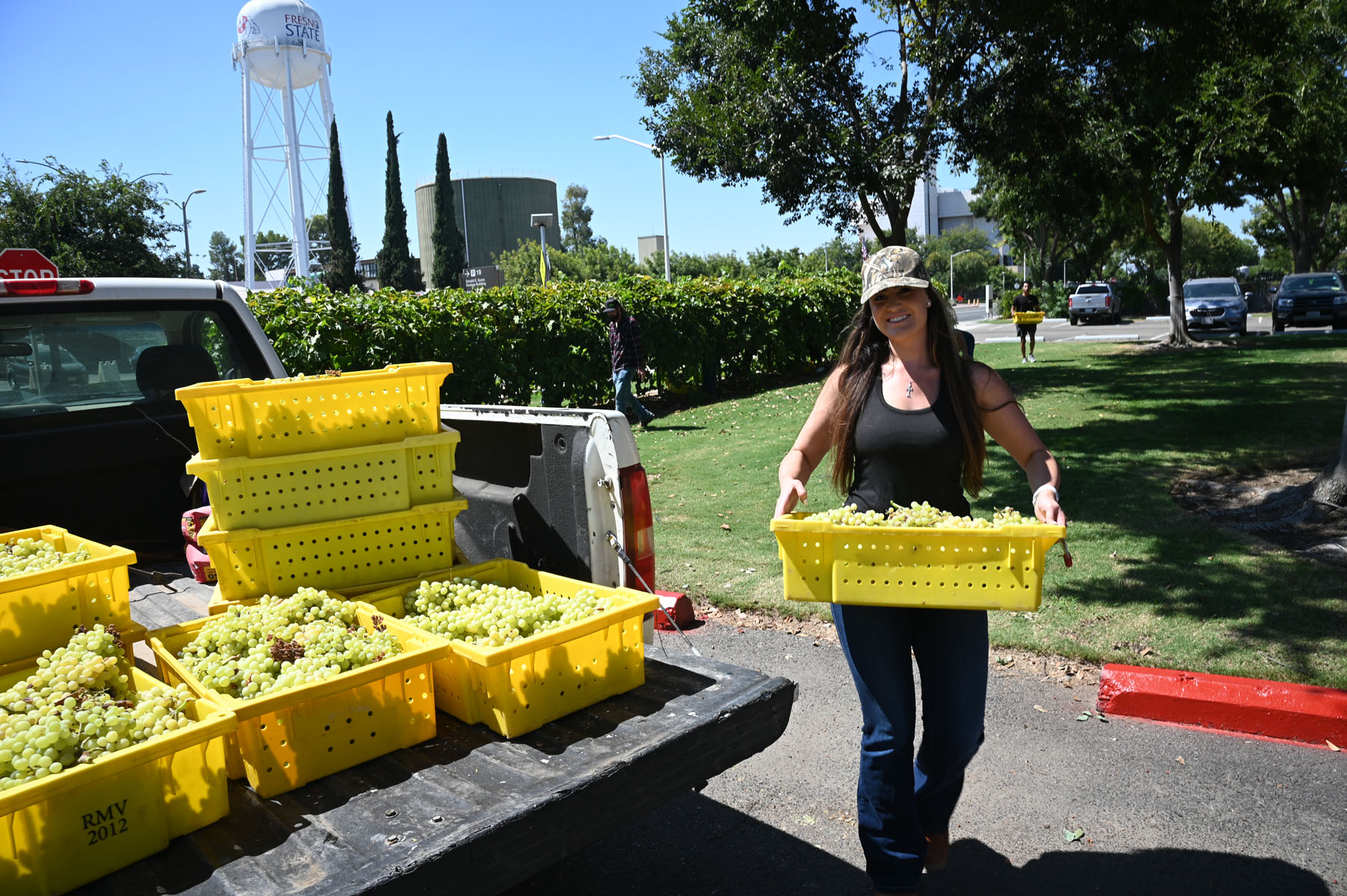Student carrying a crate of grapes