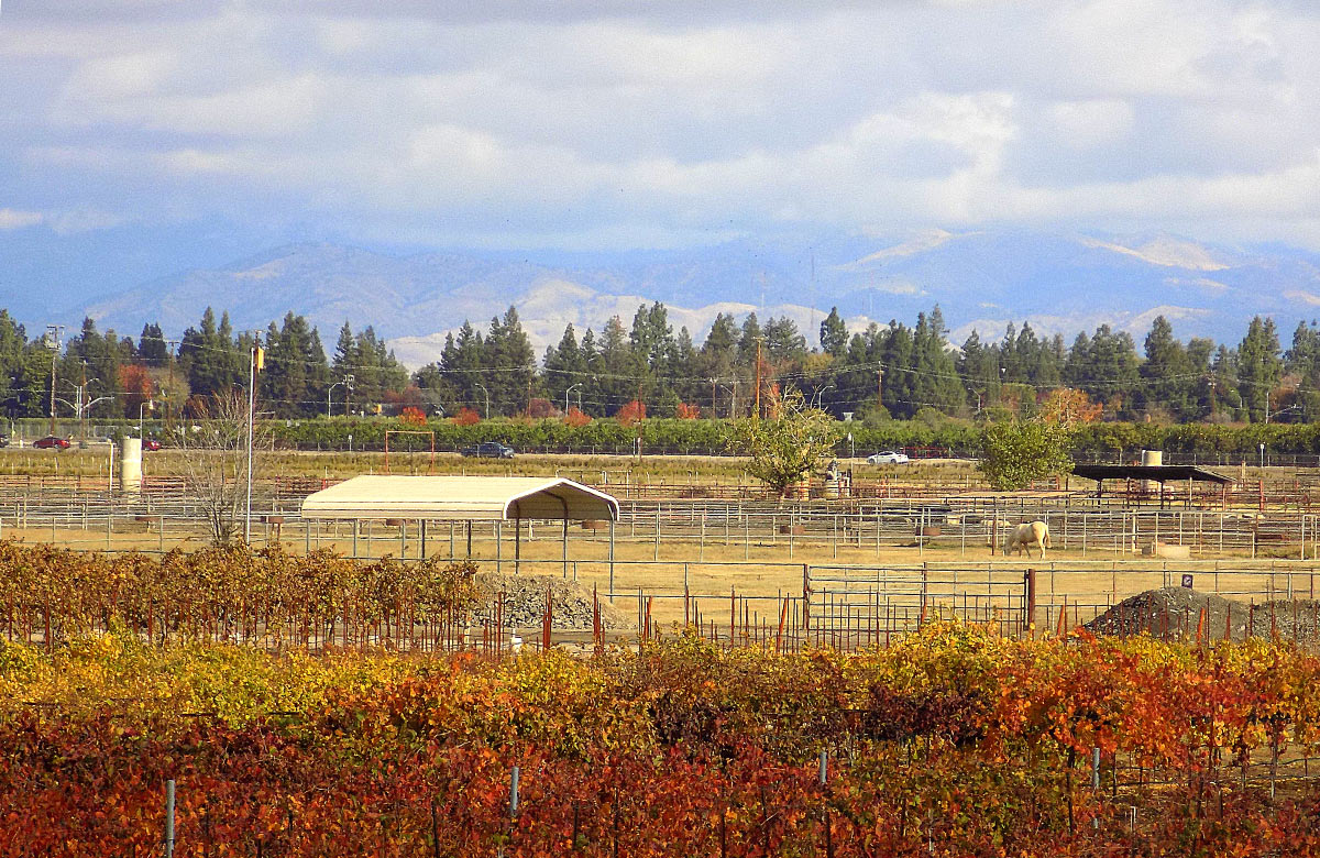 Fall winery landscape