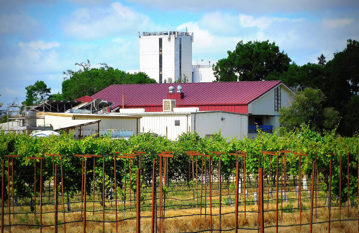 Winery building with grape vines in front