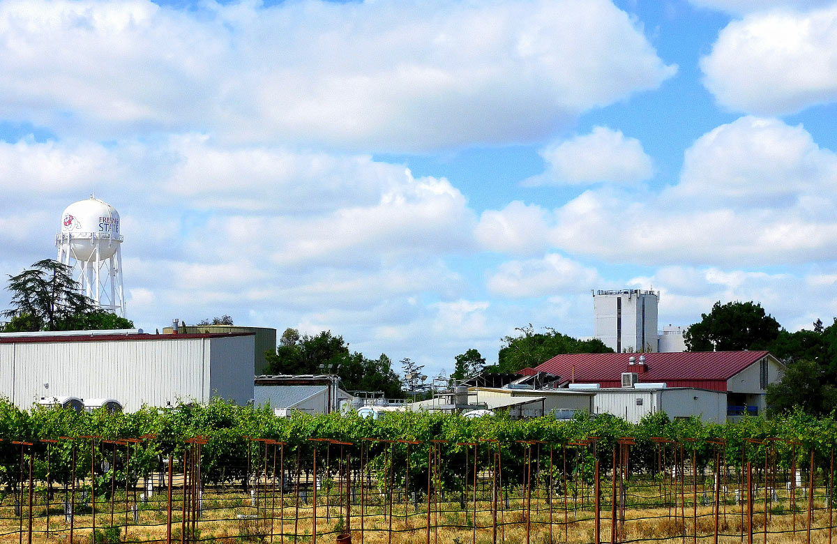 Winery buildings with grape field in front