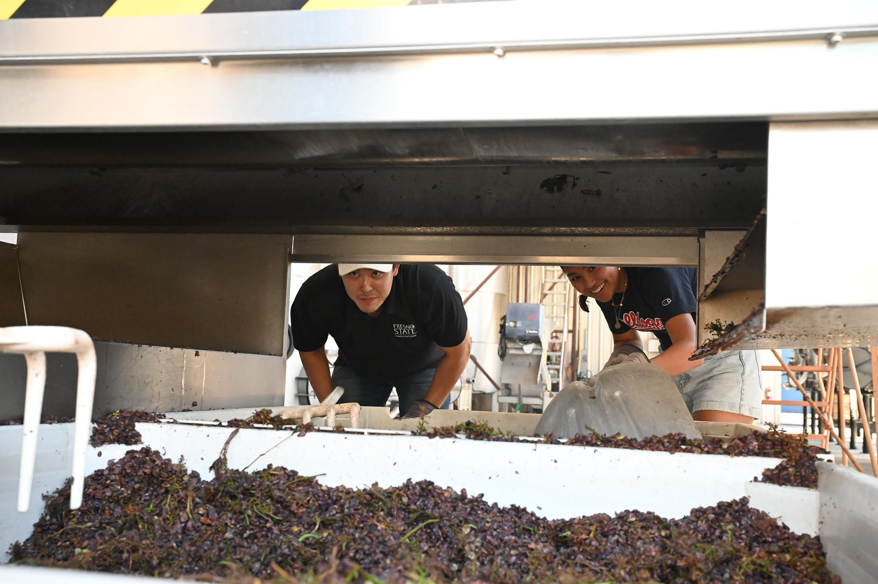 Grapes processing